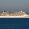 MSC_Fantasia_1